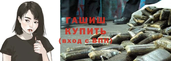 гидра Медвежьегорск