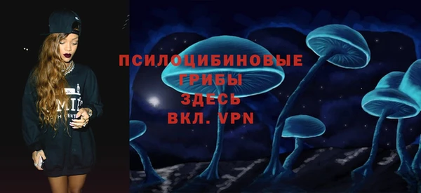 гидра Медвежьегорск