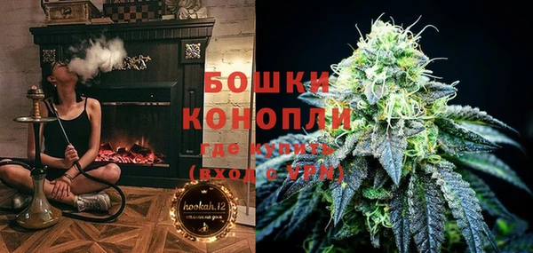 сатива Мегион
