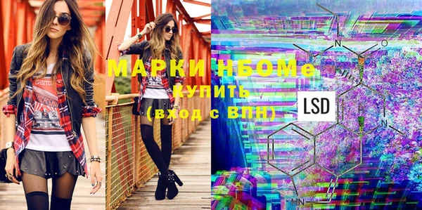 прущие грибы Великий Новгород