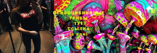 сатива Мегион