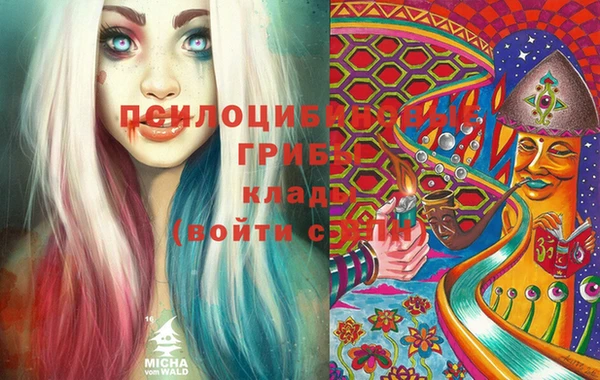 сатива Мегион