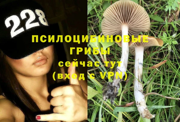 сатива Мегион