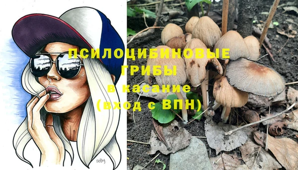 сатива Мегион