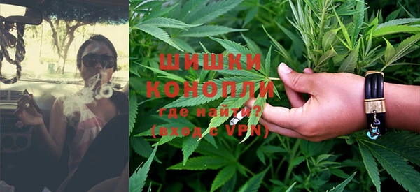 гидра Медвежьегорск