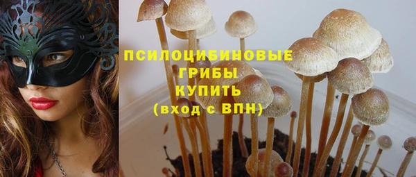 jwh Медногорск