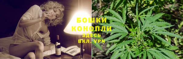 гидра Медвежьегорск