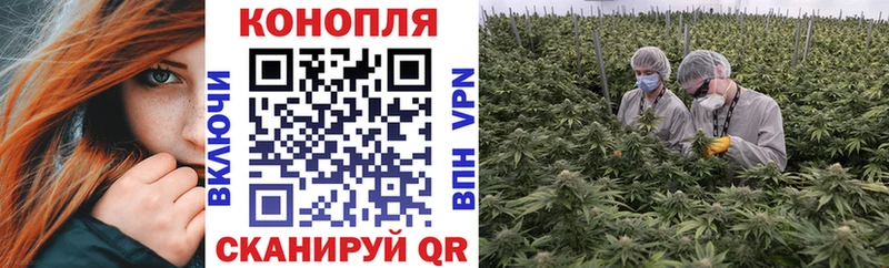 Конопля планчик  кракен tor  Мантурово 