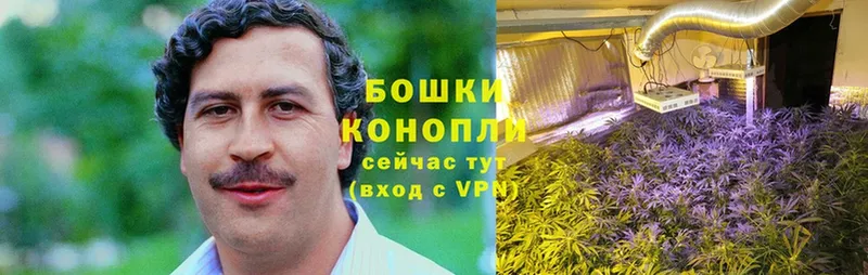 mega онион  Мантурово  Каннабис гибрид 